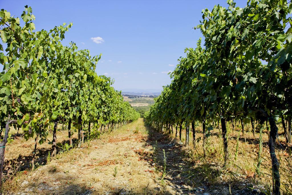 Fattoria Poggio Capponi Villa Montespertoli Exterior photo