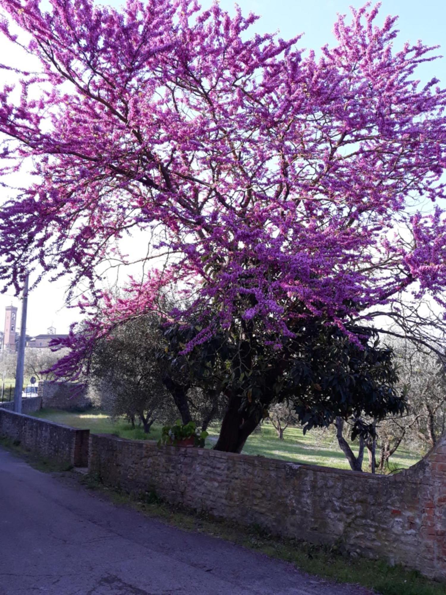 Fattoria Poggio Capponi Villa Montespertoli Exterior photo